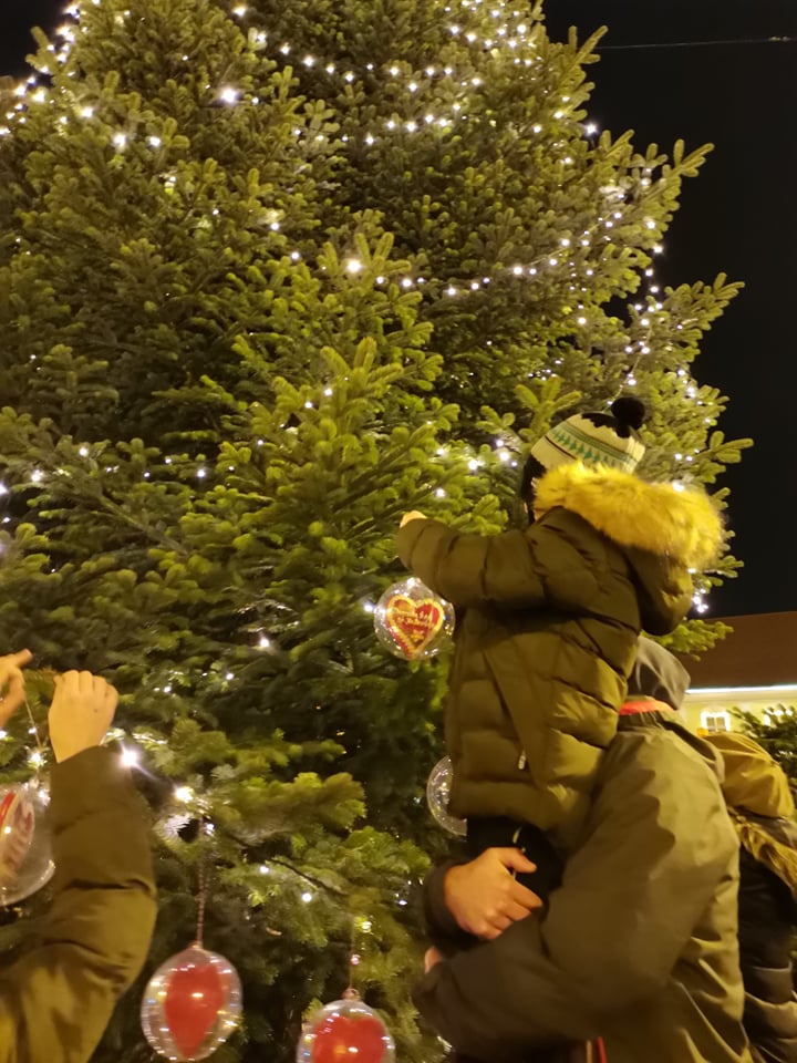 Okićen bor ispred Zagrebačke katedrale